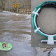 Illustration for article titled Inflatable Dog Collar Keeps Rover Floating Without Swim Lessons